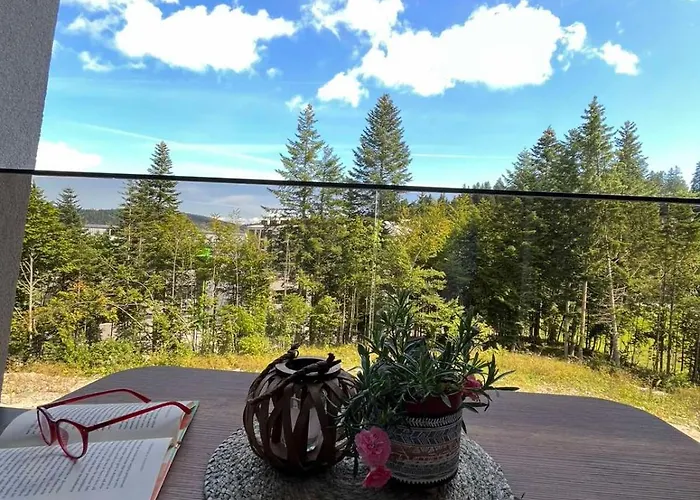 Apartman Bjelasnica Family Peak Montis, Bjelasnica *